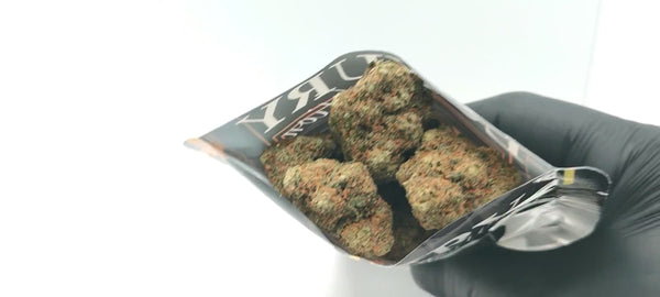 Blue Cookies CBD - Luxury Edition