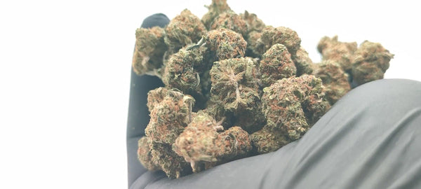 Cherry Pie - Popcorn Luxury Edition