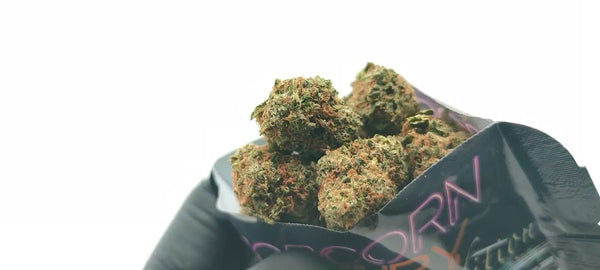 California Haze - Popcorn Luxury Edition