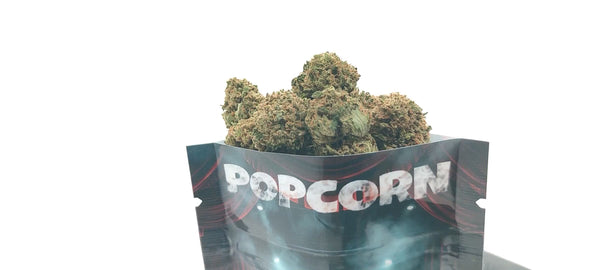 Popcorn - Champagne Kush