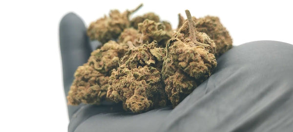 Popcorn - Pineapple Haze