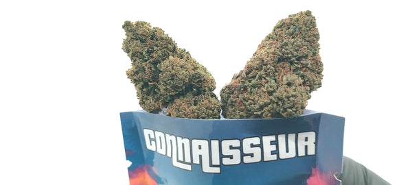 Tropical Kush