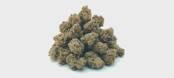 Popcorn - Tropical Kush