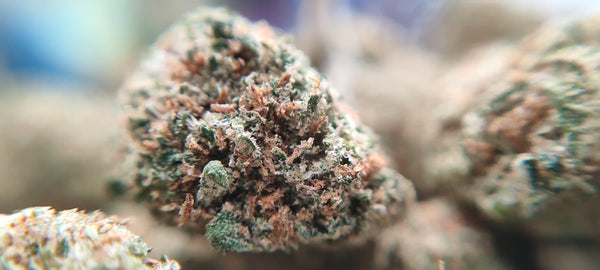 Green Crack - Popcorn Luxury Edition