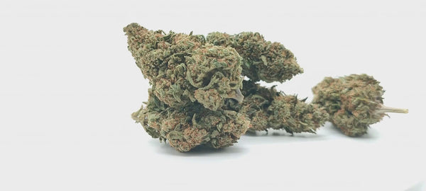 Amnesia Lemon Haze