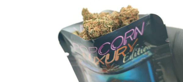 Blueberry Muffin CBD - Popcorn Luxury Edition