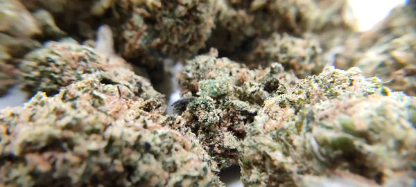 Lifter CBD USA - Popcorn Luxury Edition